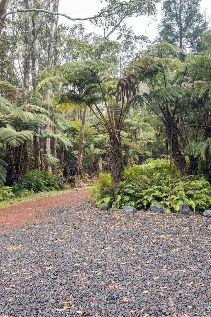 Villa Hale Ho'Okipa Volcano Exterior foto